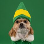 Embrace the Wild with a Cozy Bear Hat