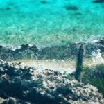 Clean Water, Epic Filters